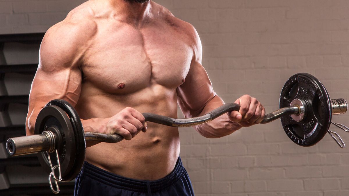 10 Best Curl Bars for Biceps in 2025: Enhance Your Strength Training Routine